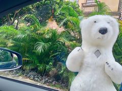 -中旅阿那亚九龙湖·公主酒店