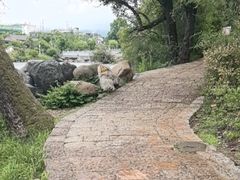 -黑龙潭公园
