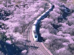 -居庸关长城