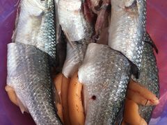 -蚝乡农庄(铁涌赤岸店)