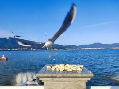 -海埂大坝