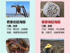 -巧克力渔家.小船海鲜胶东菜(万平口店)