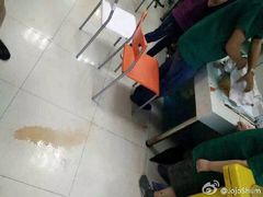 盛京一禾-盛京一禾