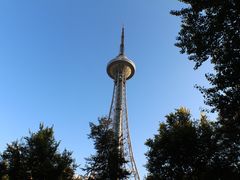 -龙塔