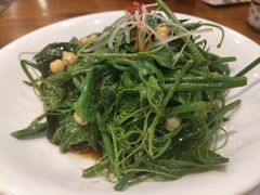 清炒南瓜尖儿-巴依老爷新疆美食(望京小街店)