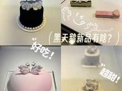 -BLACKSWAN黑天鹅(环球店)