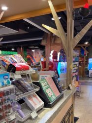 -卡通尼·Safari非洲探索乐园·生日会(金桥国际商业广场店)