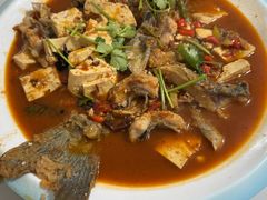 -煲来饱去冷水鱼
