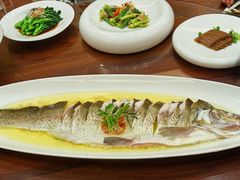 -鲁宴·鲁煨黄河生态大鲤鱼(月坛店)