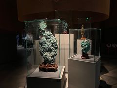 -盘龙城国家考古遗址公园