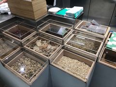 -叶子与茶(苏宁广场店)