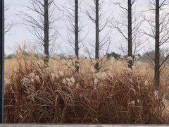 -良渚古城遗址公园