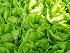 -中国农科院国家农业科技展示园