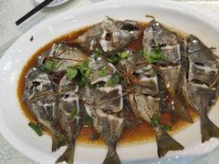 -台山美食一绝阿四台山黄鳝饭(阿四创作店)