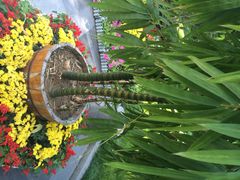 iphone_upload_pic-紫竹院公园冰场