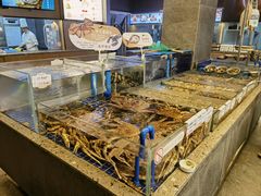 -船歌·鱼水饺青岛菜(闽江二路店)