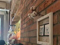 -春庄咖啡SpringHues(钟楼小区店)