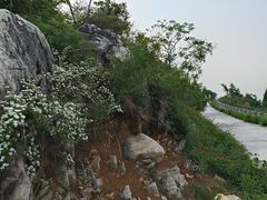 -府君山公园