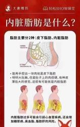 -香薇妮丝·定制减肥·身材管理