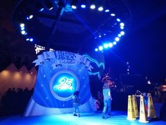 -巴黎迪士尼乐园