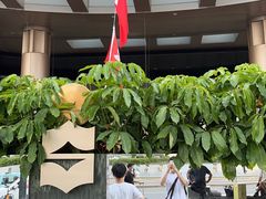 -深圳香格里拉酒店