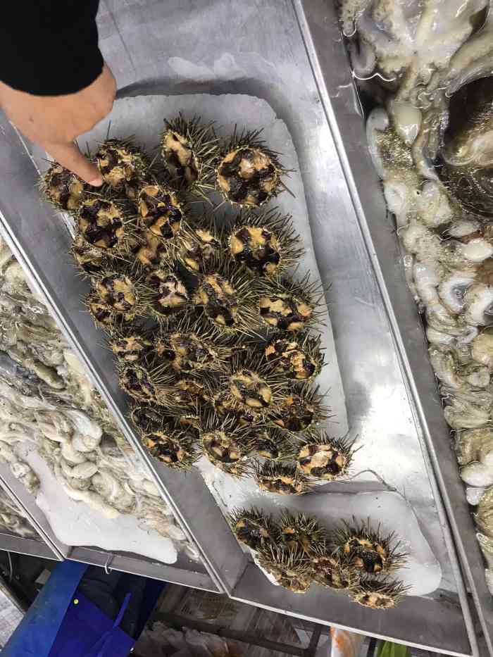 鹏旎海鲜超市-"鹏旎海鲜超市是莱阳最大最大的海鲜超市,种.