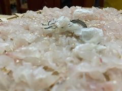 -官塘陈记鱼生·潮汕砂锅粥·牛肉火锅(潮枫路总店)