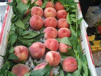 天津水果店相关搜索结果推荐-大众点评网