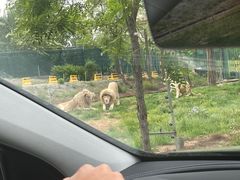 -秦皇岛野生动物园