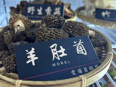 -爱膳菌锅锅(阳南店)