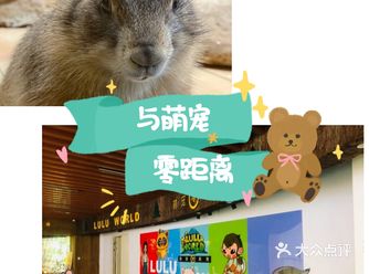 夏日宝藏遛娃地｜LuLuWorld室内萌宠乐园