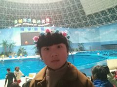-泉城欧乐堡海洋极地世界