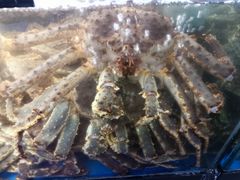 -蟹之国·精品蟹料理(极地店)