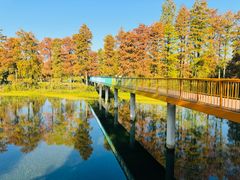 -东湖生态旅游风景区