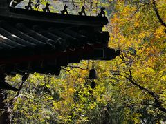 -香山公园