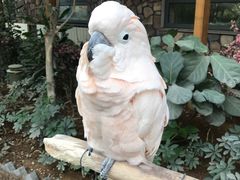 -南宫五洲植物乐园