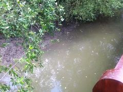 -东寨港红树林旅游区