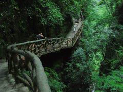 -鹿院坪生态旅游景区