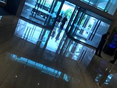 -苏州金鸡湖文博诺富特酒店