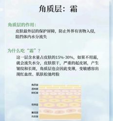 点击看大图 -玛莲朵·海菲秀冰珀科