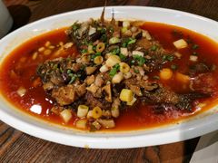 干烧鲫鱼-舌尖上的食缘花园主题餐厅