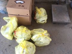 -马陆小张葡萄园农家乐