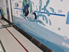 -北京科技大学-游泳馆