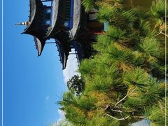 -黑龙潭公园