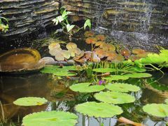 -国家植物园南园