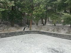 -四明山国家森林公园