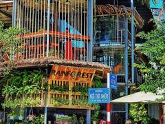 -Rainforest
