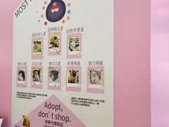 -PO PARK东方宝泰
