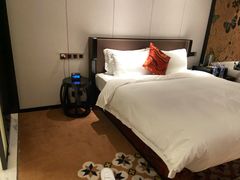 -柏高·颂酒店(广州环市东路店)