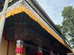 -塔尔寺-菩提树